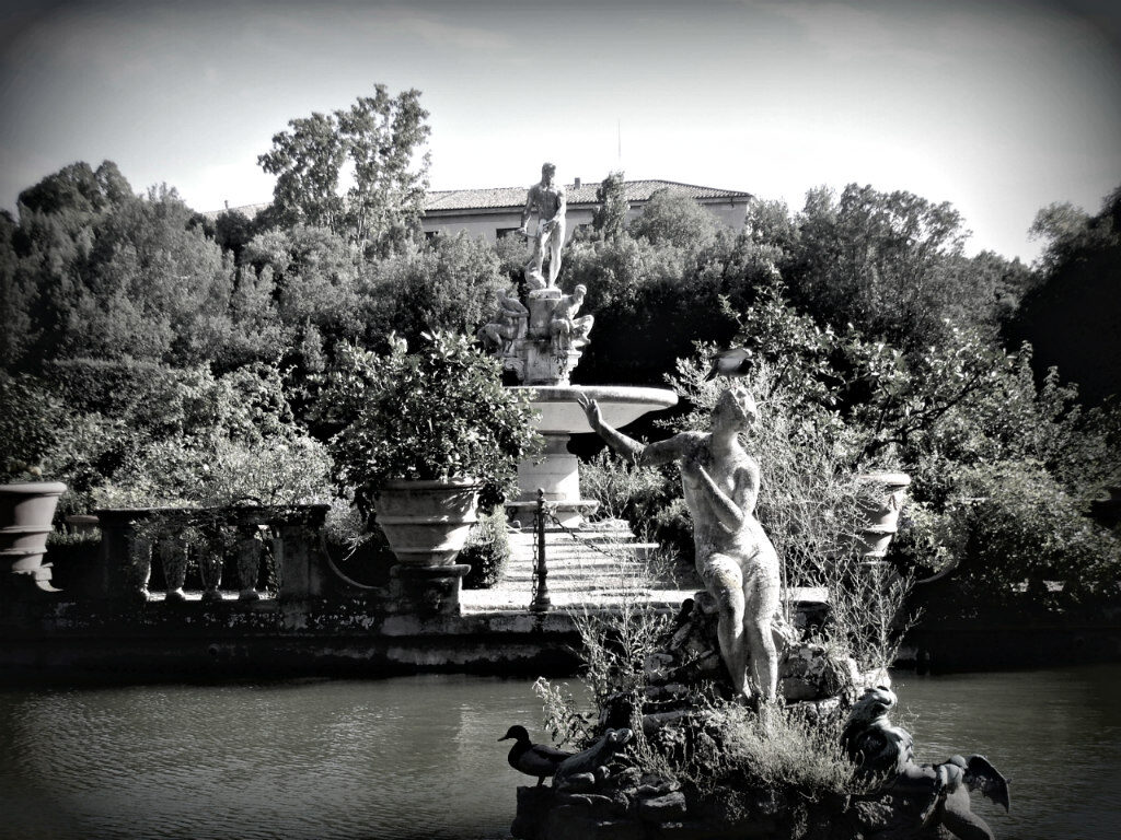 Giardino di Boboli Andromeda