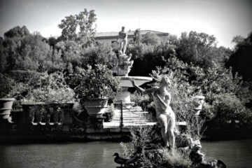 Giardino di Boboli Andromeda