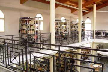 Le biblioteche e i musei che resistono ai DPCM_