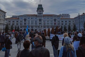 appalti musei trieste